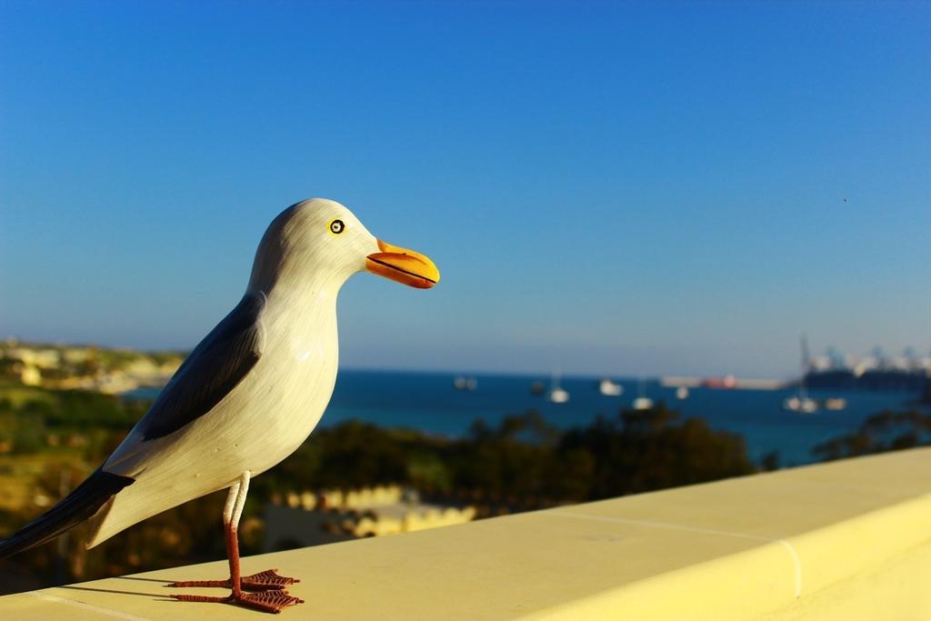 Apartament Seagull Penthouse Marsaxlokk Zewnętrze zdjęcie